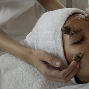 7 Snail Massage